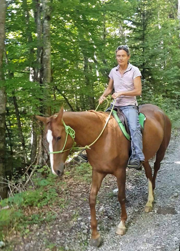 Merrie Akhal-Teke Te koop 2017 Vos ,  Raymar, AT