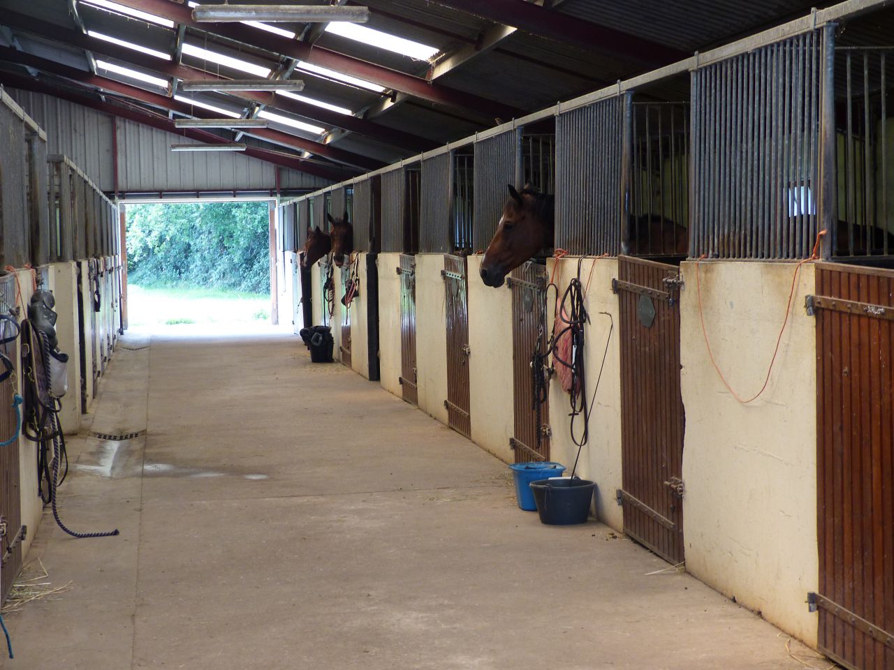 Hippisch vastgoed Koop Calvados