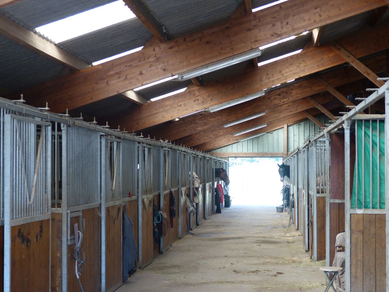 Hippisch vastgoed Koop Calvados