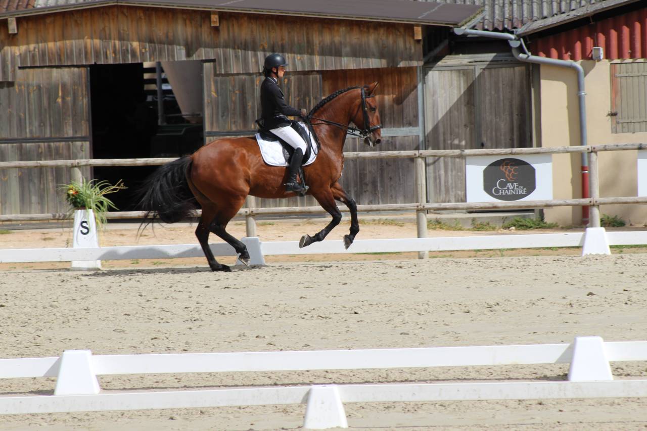 Monitor leerling - Leer contract Voltijds - Rh&ocirc;ne Frankrijk