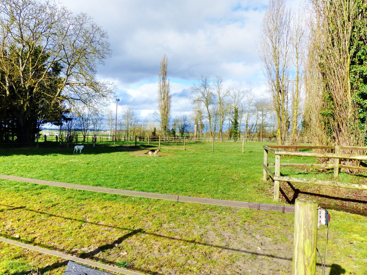 Hippisch vastgoed Koop Yvelines