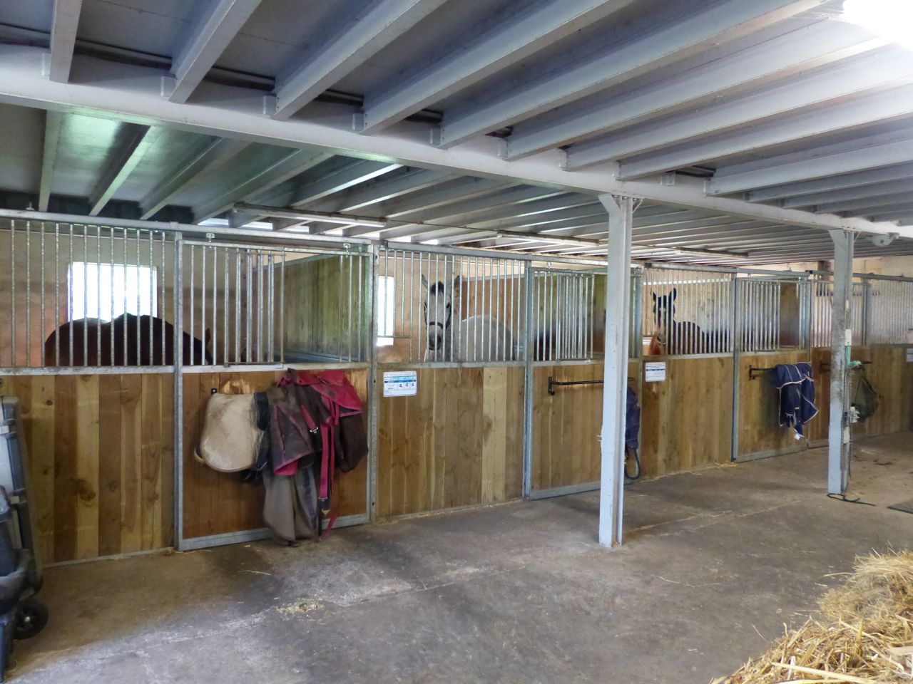 Eigenaren stal Koop Eure