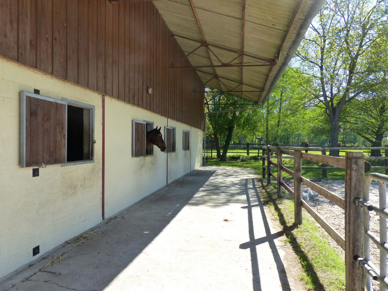 Eigenaren stal Koop Eure