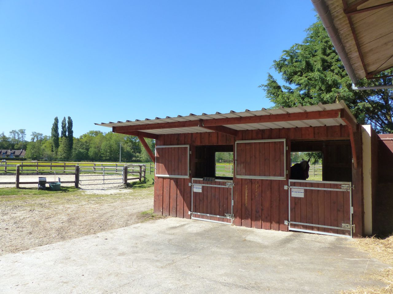 Eigenaren stal Koop Eure