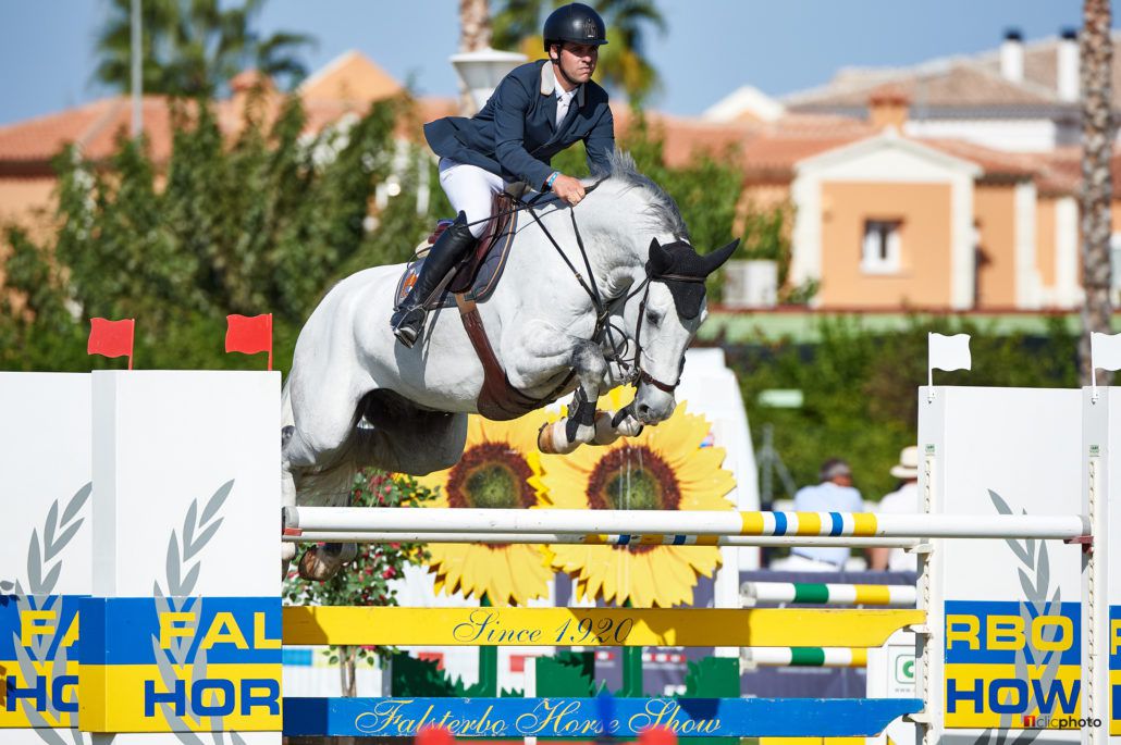 Vingino - KWPN Nederlands sportpaard 2002