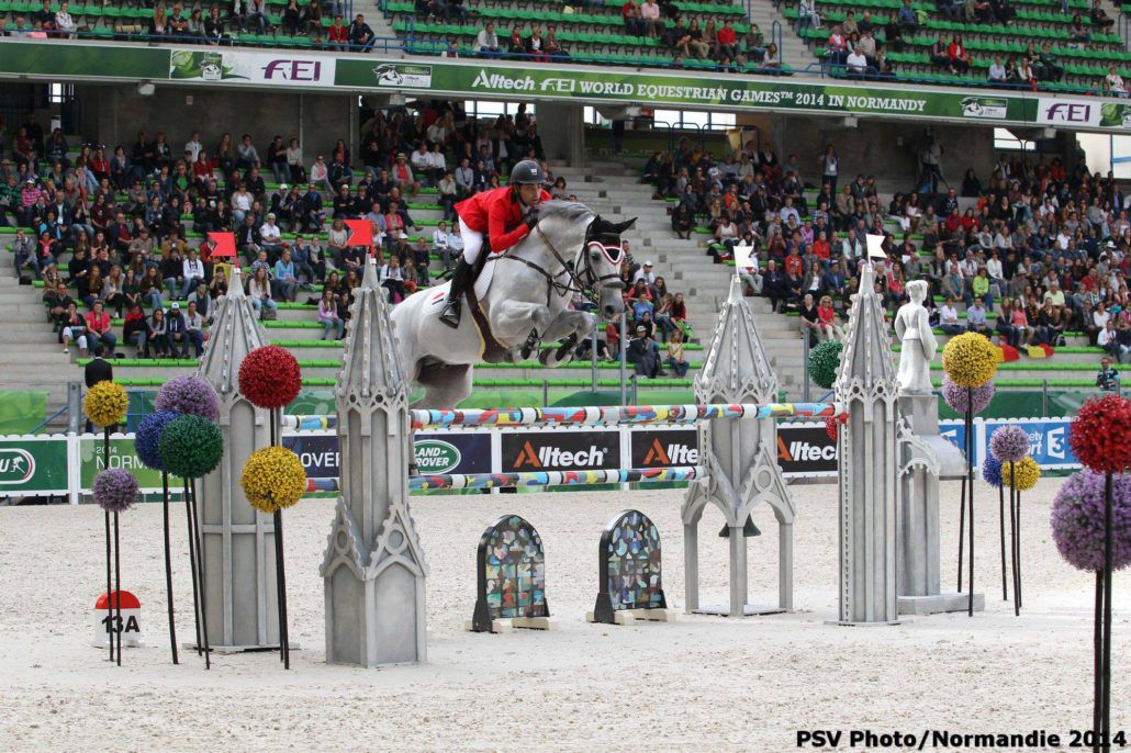 Vingino - KWPN Nederlands sportpaard 2002