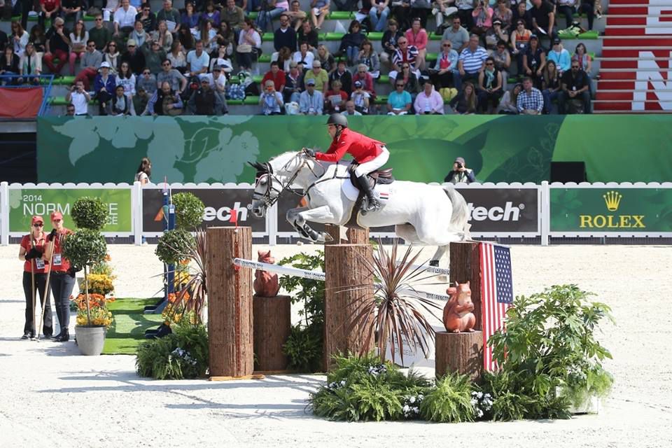 Vingino - KWPN Nederlands sportpaard 2002