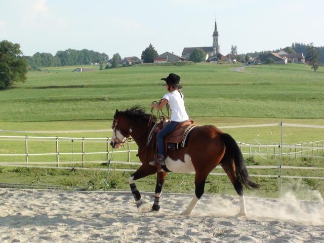 Wash Bar Leo - Paint Horse 2005 ,  WASH MY SPECTICKLES