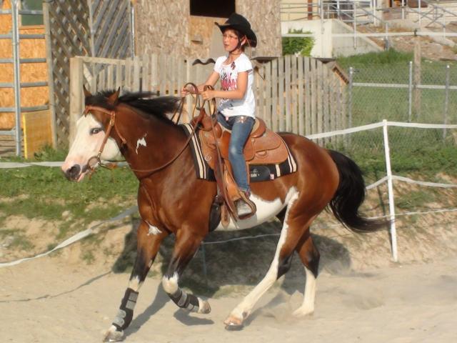 Wash Bar Leo - Paint Horse 2005 ,  WASH MY SPECTICKLES