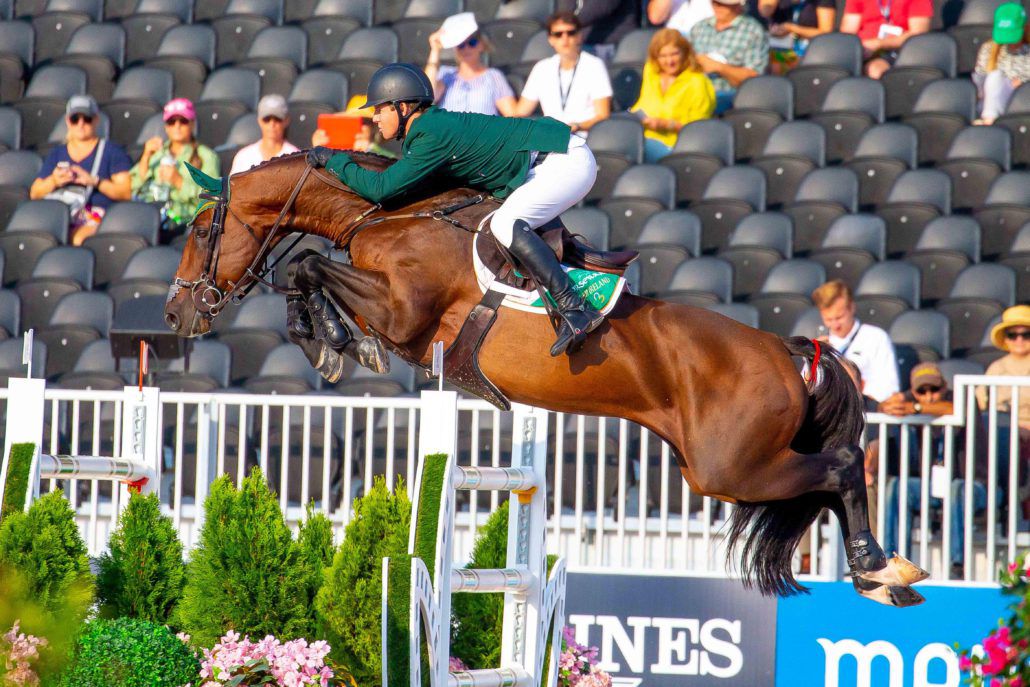 Chaqui Z - Zangersheide 2006