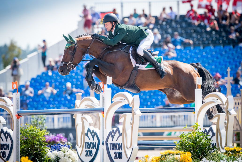 Chaqui Z - Zangersheide 2006