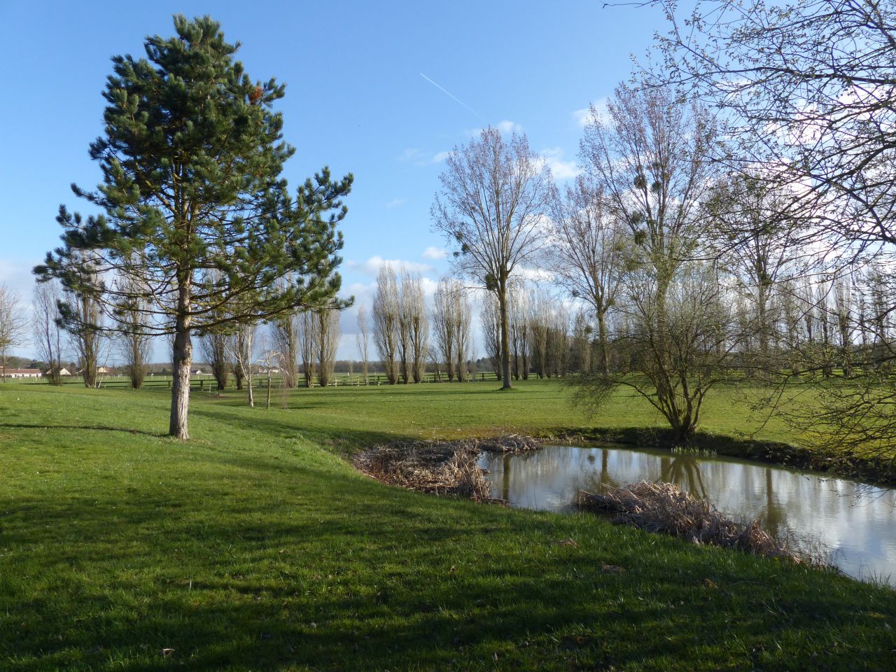 Eigenaren stal Koop Yvelines