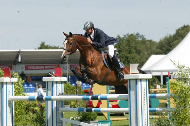 Lando - Deens sportpaard 1988 ,  LANCIER
