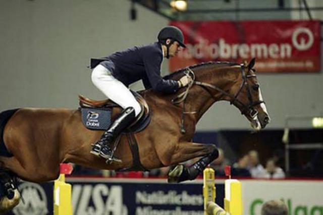 Lando - Deens sportpaard 1988 ,  LANCIER