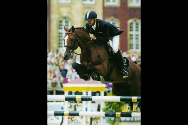 Lando - Deens sportpaard 1988 ,  LANCIER