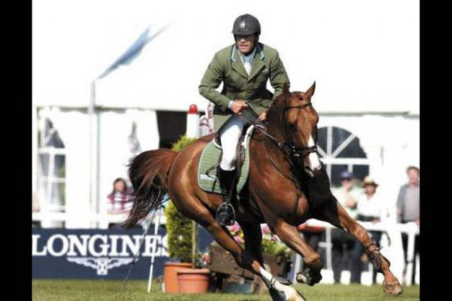 Tinka's Boy - KWPN Nederlands sportpaard 1989 ,  ZUIDPOOL