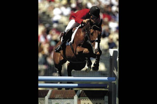 Tinka's Boy - KWPN Nederlands sportpaard 1989 ,  ZUIDPOOL