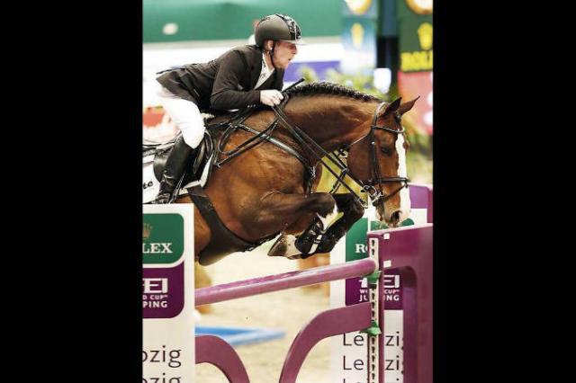 Plot Blue - KWPN Nederlands sportpaard 1997 ,  MR BLUE