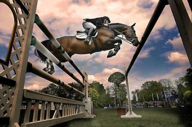 Plot Blue - KWPN Nederlands sportpaard 1997 ,  MR BLUE