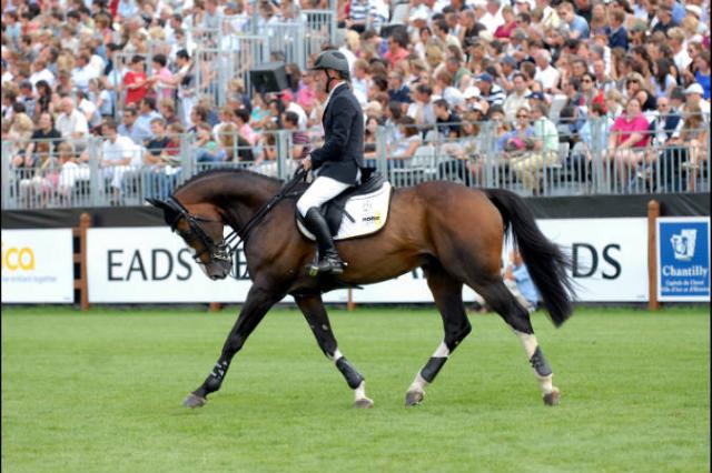 Plot Blue - KWPN Nederlands sportpaard 1997 ,  MR BLUE