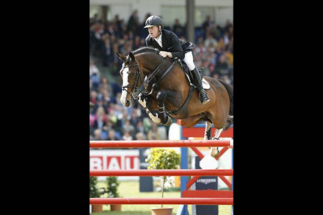 Plot Blue - KWPN Nederlands sportpaard 1997 ,  MR BLUE