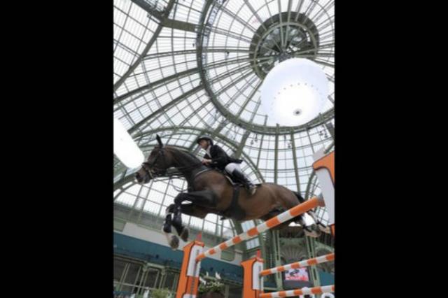 Plot Blue - KWPN Nederlands sportpaard 1997 ,  MR BLUE