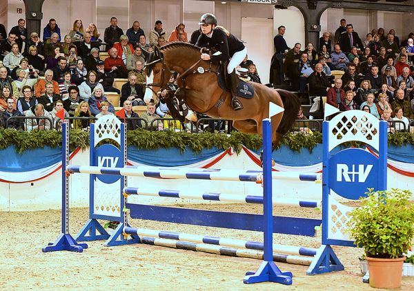 Million Dollar - BWP Belgisch volbloed 2012 ,  PLOT BLUE