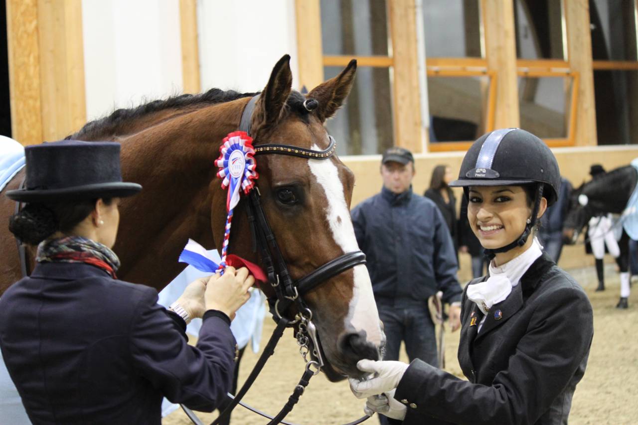 Don Quichot - BWP Belgisch volbloed 2000 ,  QUITE EASY