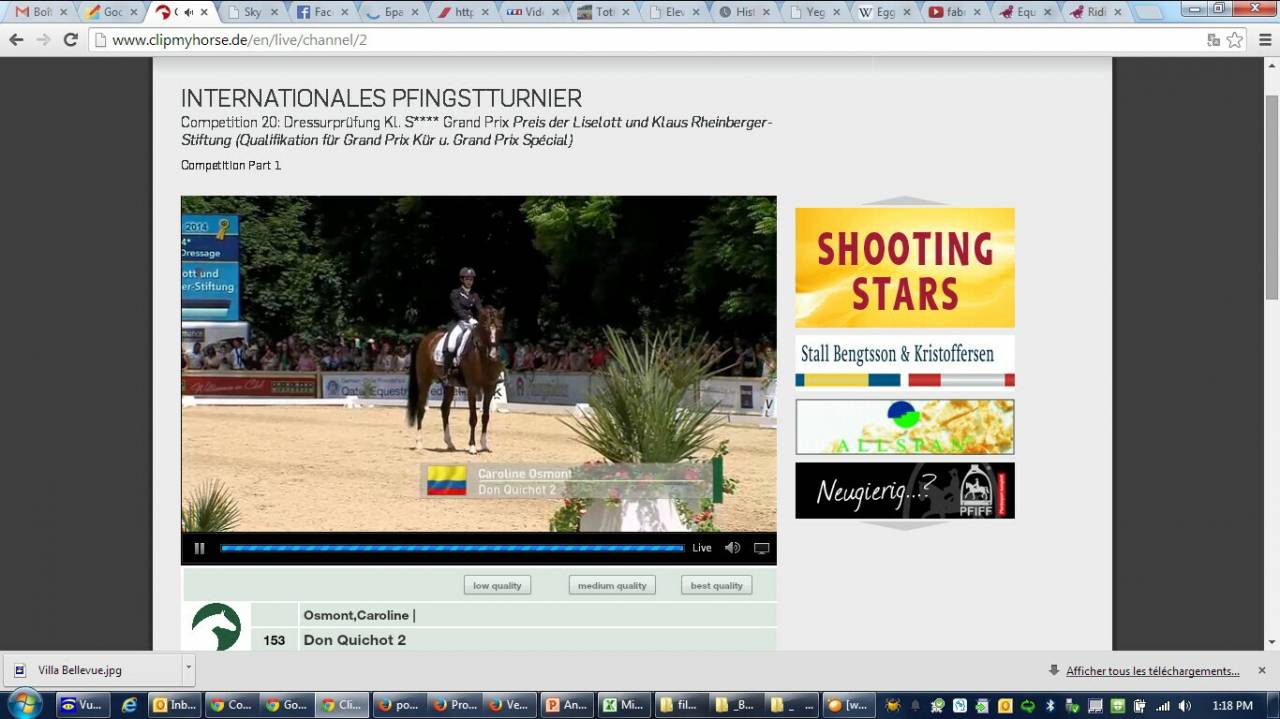 Don Quichot - BWP Belgisch volbloed 2000 ,  QUITE EASY