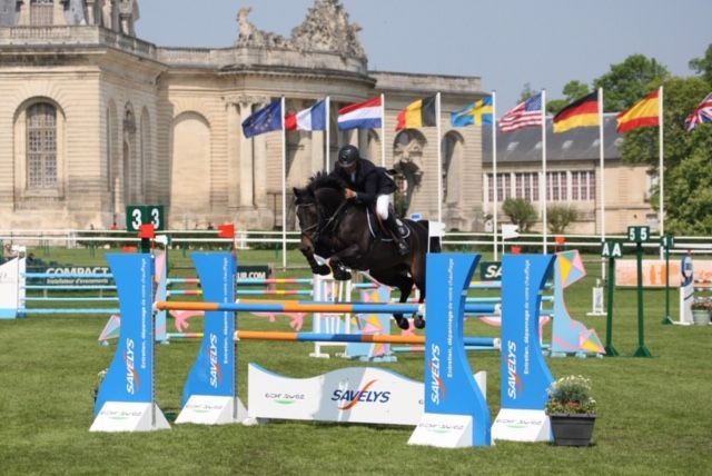 HEROE DE CAFENY - Selle Français 2017 ,  DIAMANT DE SEMILLY
