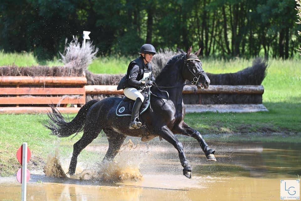 HEROE DE CAFENY - Selle Français 2017 ,  DIAMANT DE SEMILLY