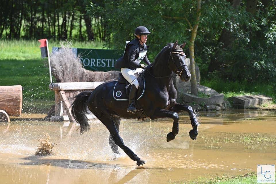 HEROE DE CAFENY - Selle Français 2017 ,  DIAMANT DE SEMILLY
