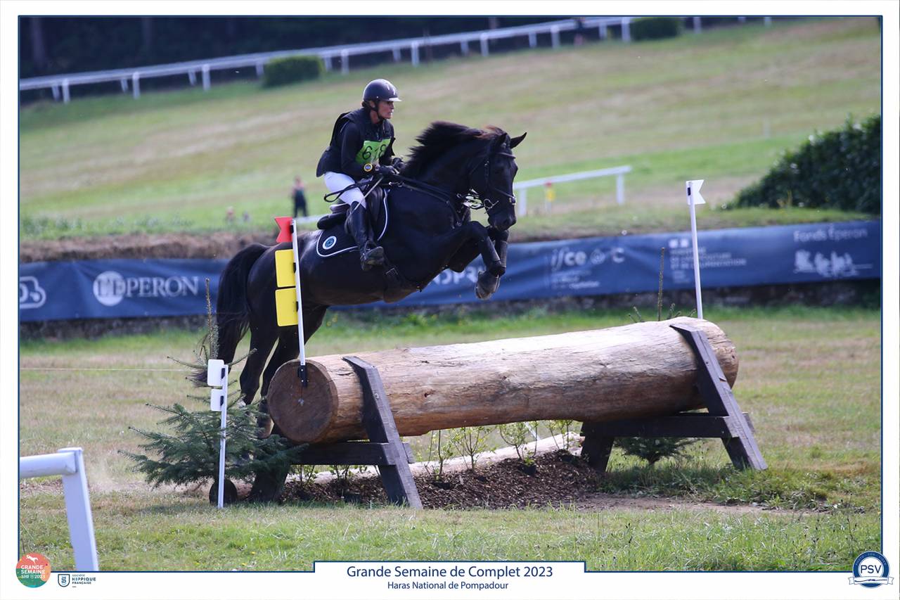 HEROE DE CAFENY - Selle Français 2017 ,  DIAMANT DE SEMILLY