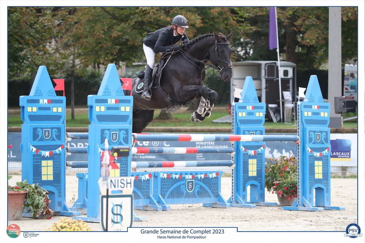 HEROE DE CAFENY - Selle Français 2017 ,  DIAMANT DE SEMILLY