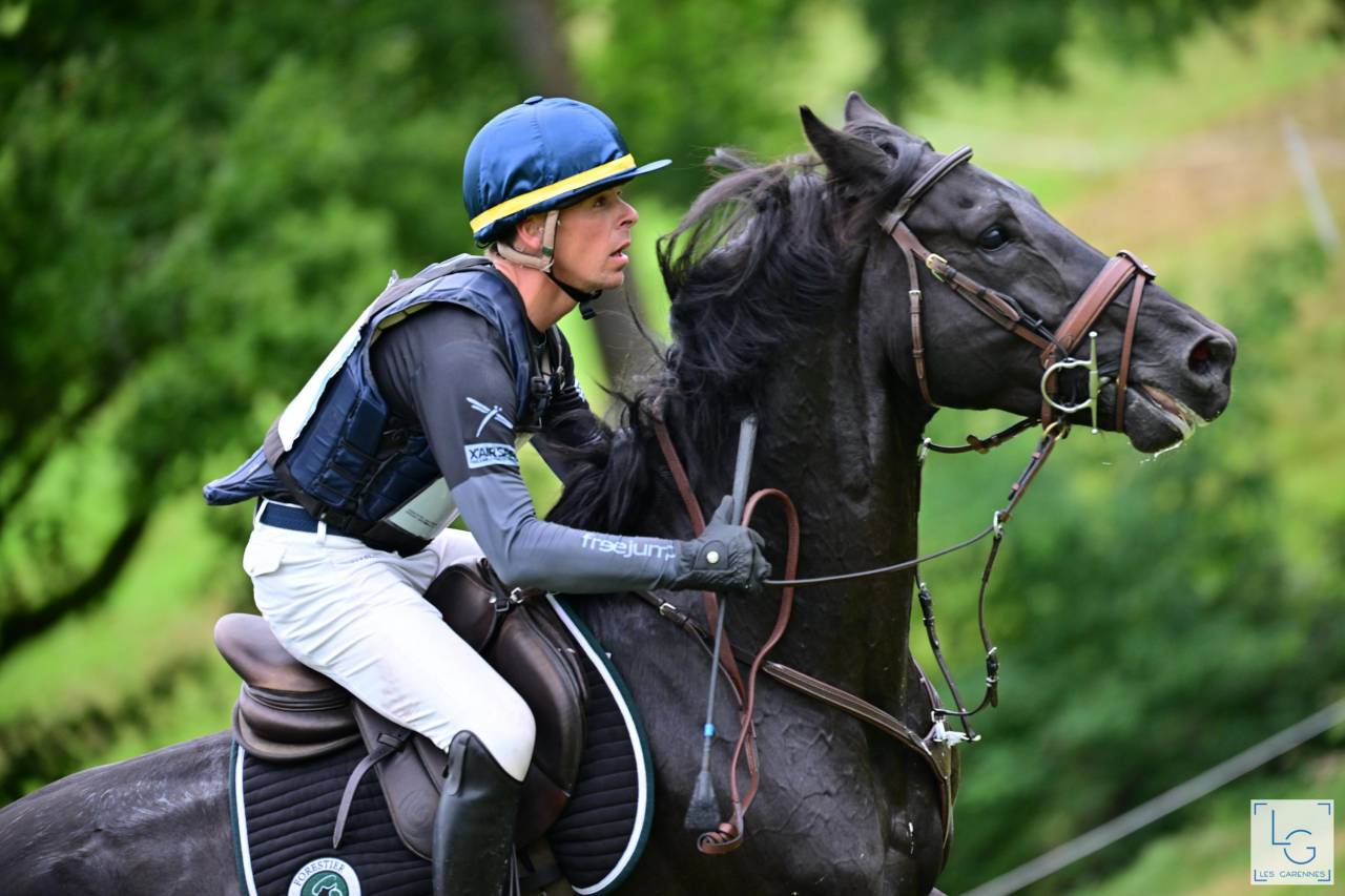 HEROE DE CAFENY - Selle Français 2017 ,  DIAMANT DE SEMILLY