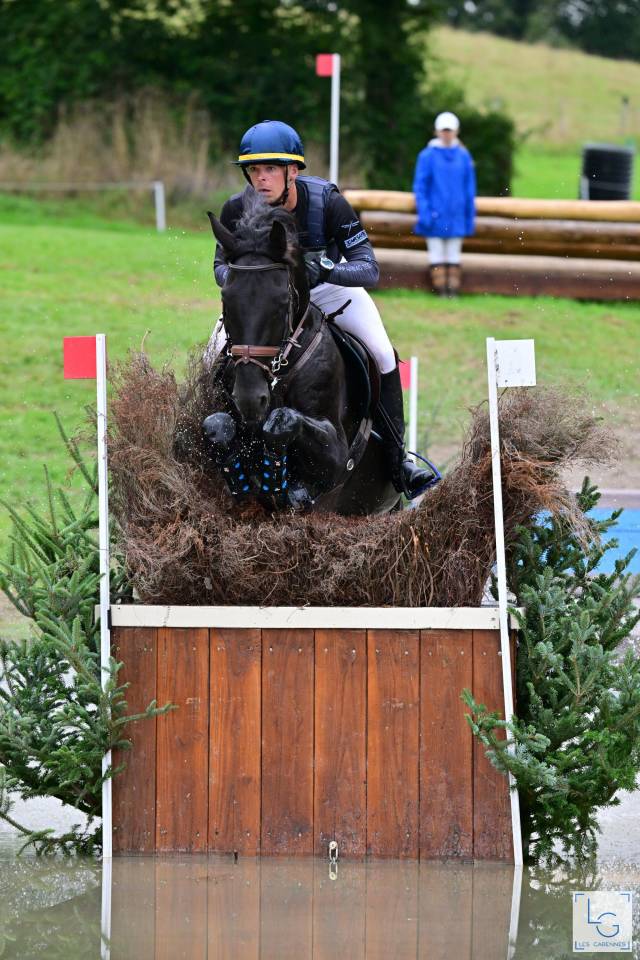 HEROE DE CAFENY - Selle Français 2017 ,  DIAMANT DE SEMILLY