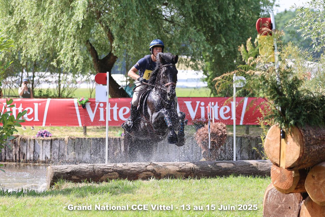 HEROE DE CAFENY - Selle Fran&ccedil;ais 2017 ,  DIAMANT DE SEMILLY