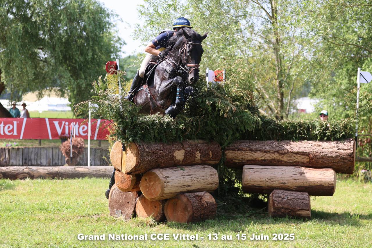 HEROE DE CAFENY - Selle Fran&ccedil;ais 2017 ,  DIAMANT DE SEMILLY