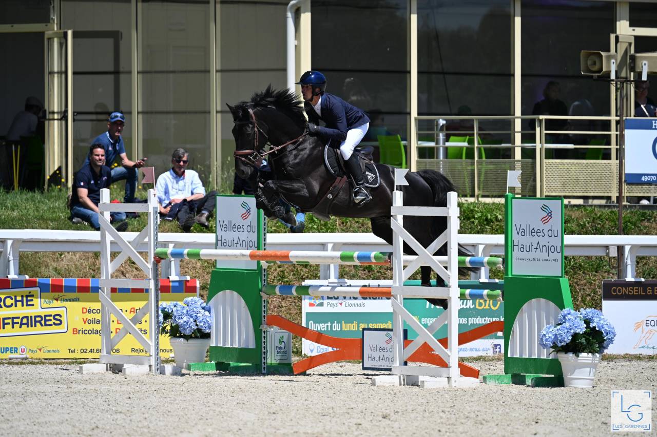 HEROE DE CAFENY - Selle Fran&ccedil;ais 2017 ,  DIAMANT DE SEMILLY