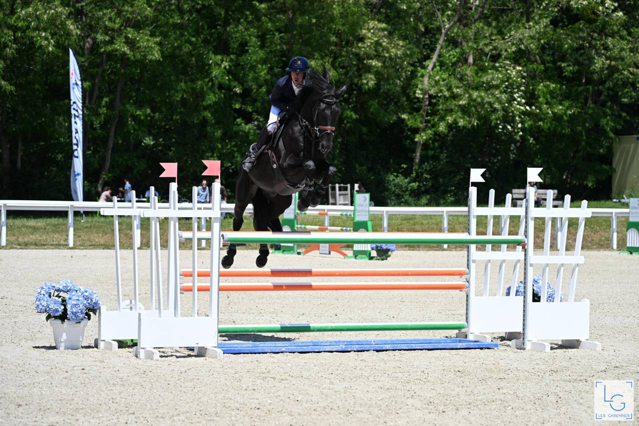HEROE DE CAFENY - Selle Fran&ccedil;ais 2017 ,  DIAMANT DE SEMILLY