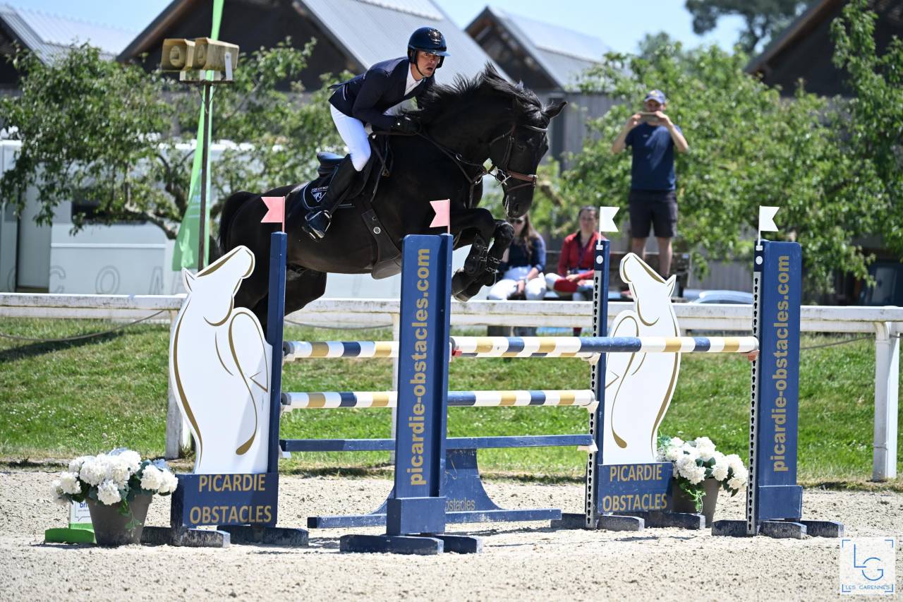 HEROE DE CAFENY - Selle Fran&ccedil;ais 2017 ,  DIAMANT DE SEMILLY