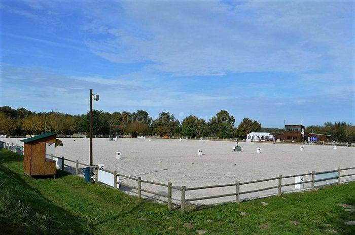 Stoeterij Koop Loiret