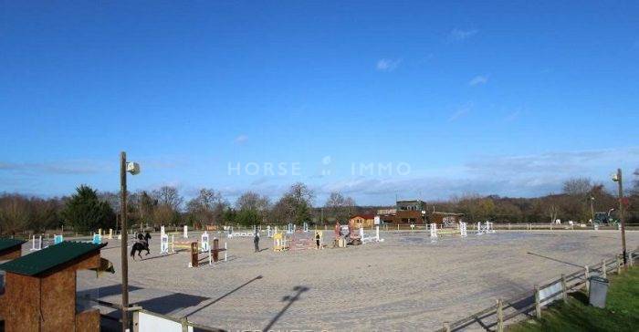 Stoeterij Koop Loiret