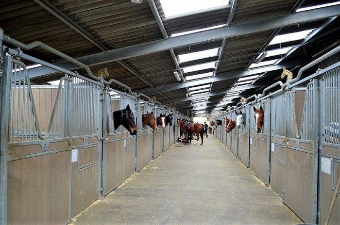 Stoeterij Koop Loiret