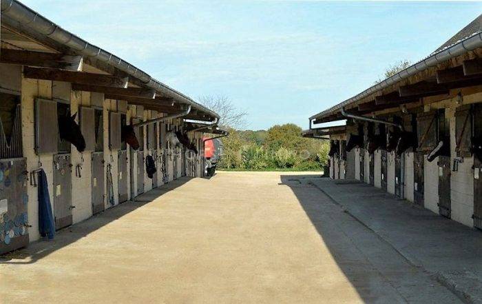 Stoeterij Koop Loiret