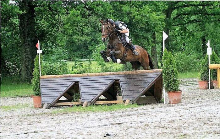 Stoeterij Koop Loiret