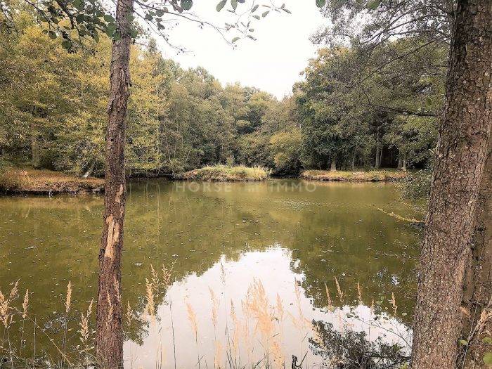Hippisch vastgoed Koop Paris