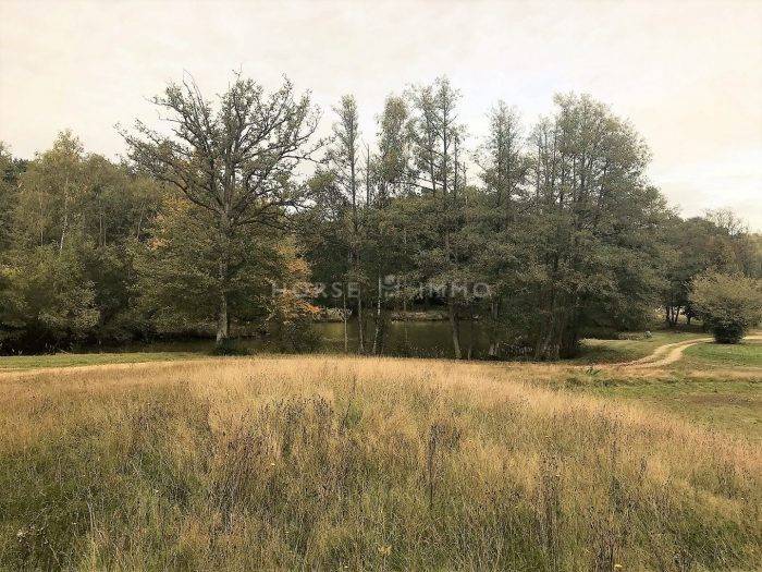 Hippisch vastgoed Koop Paris