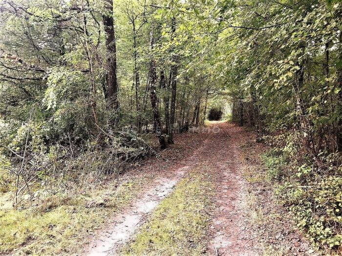 Hippisch vastgoed Koop Paris