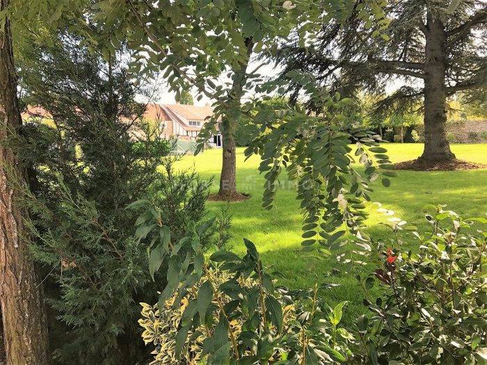 Stoeterij Koop Seine-et-Marne